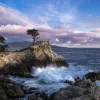 Lone Cypress Evening By Bart Keagy