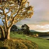 Quietude By Joann Dost -Metal Print