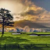 Radiance By Joann Dost -Metal Print